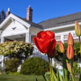 6 Ways to Help New Movers Reset This Spring